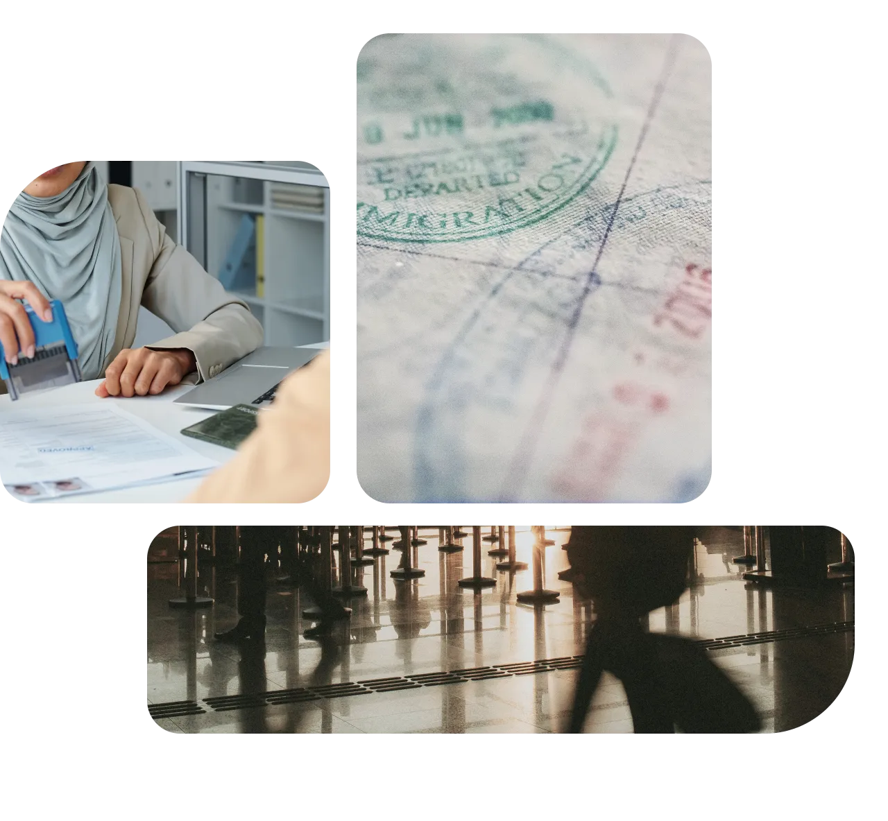 Immigration Translation Services