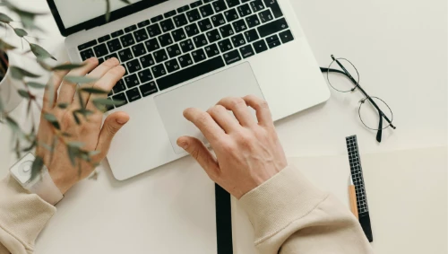 Professional translation and review