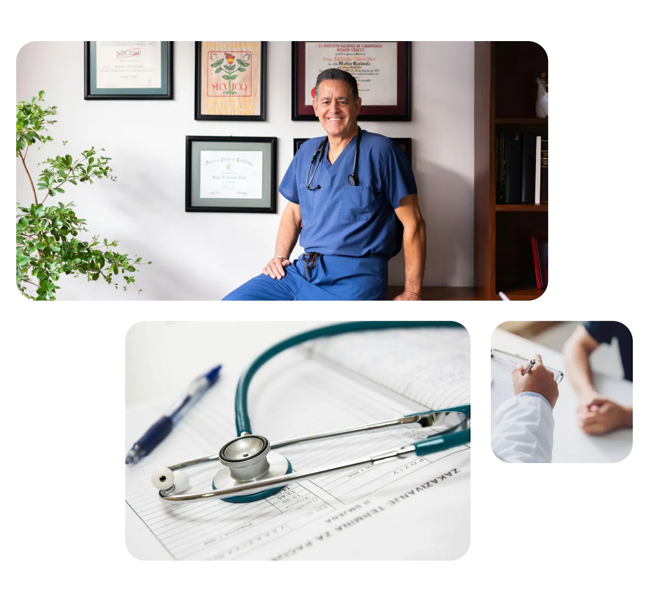 ECFMG Translation Services