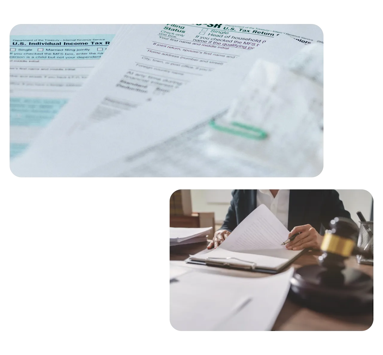 Government Filing Translation Services