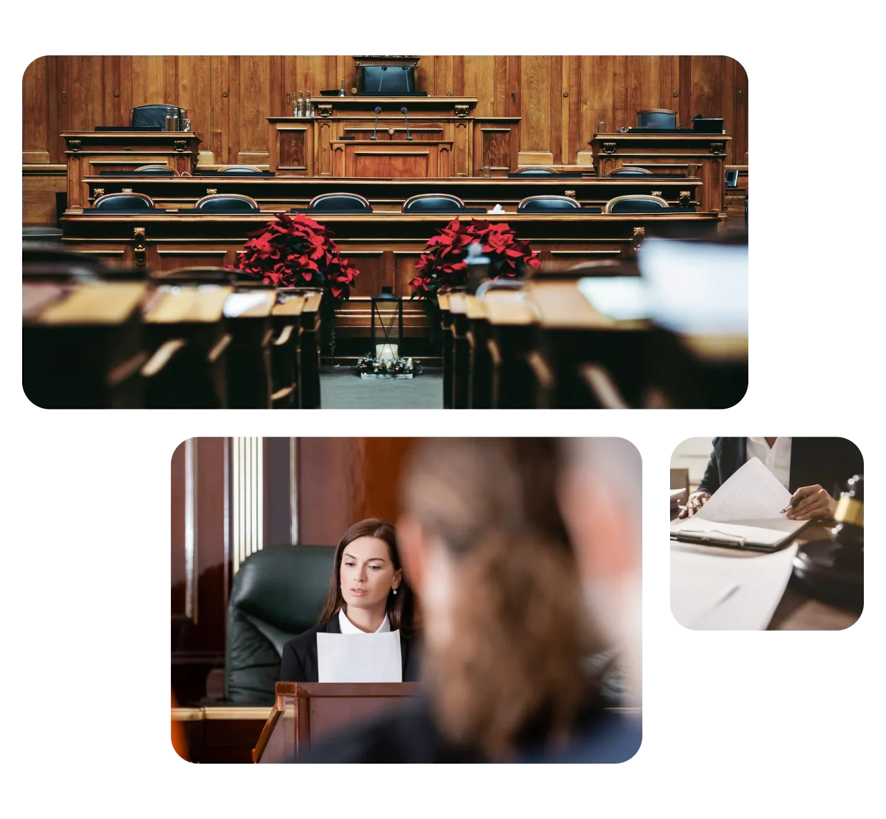Legal Proceeding Translation Services