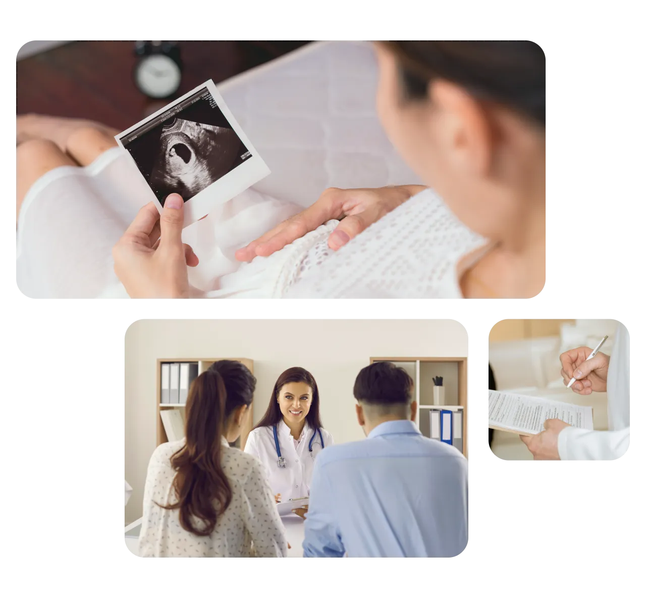 Surrogacy & Fertility Service Translation Services