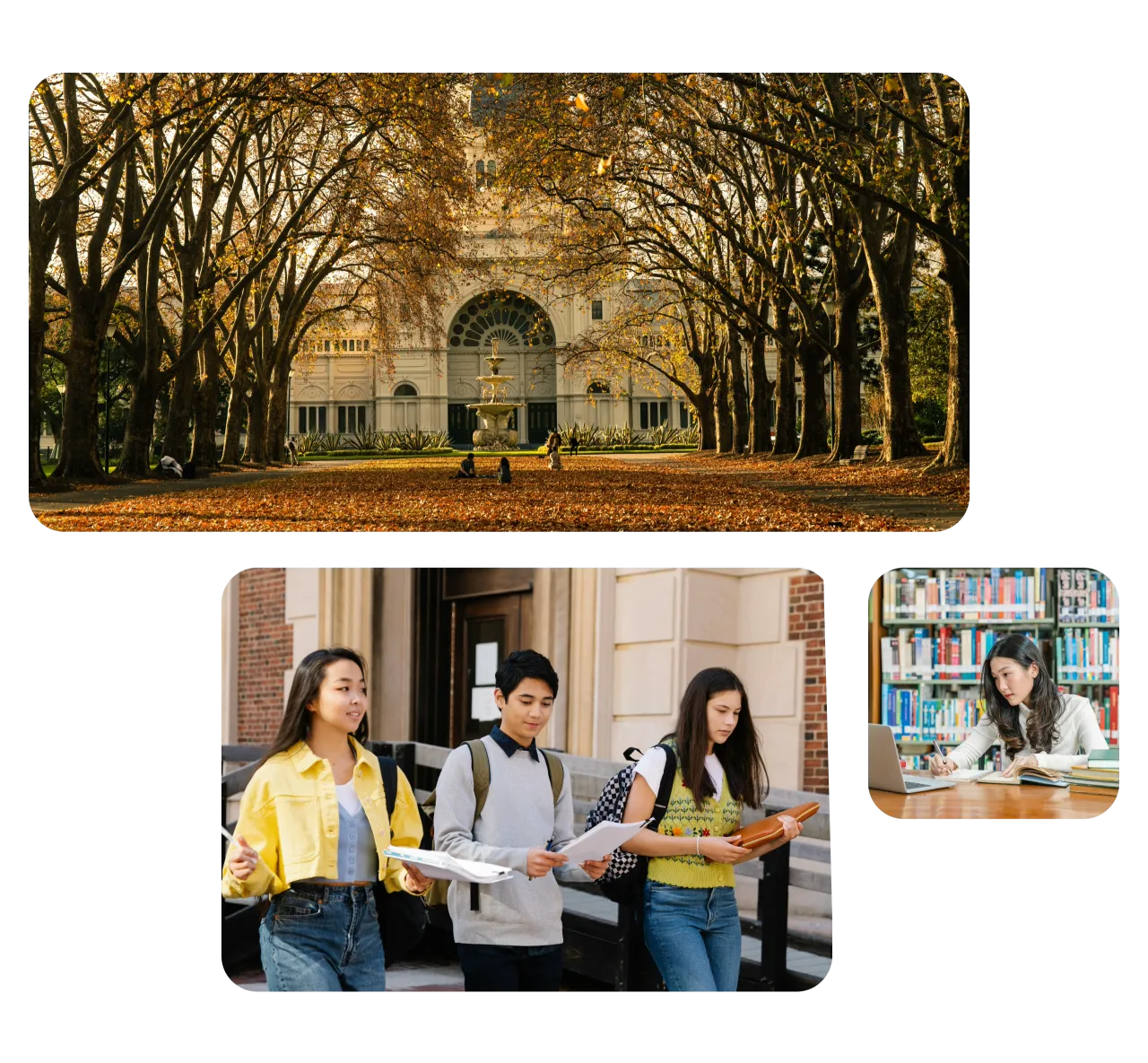 University & College Admission Translation Services