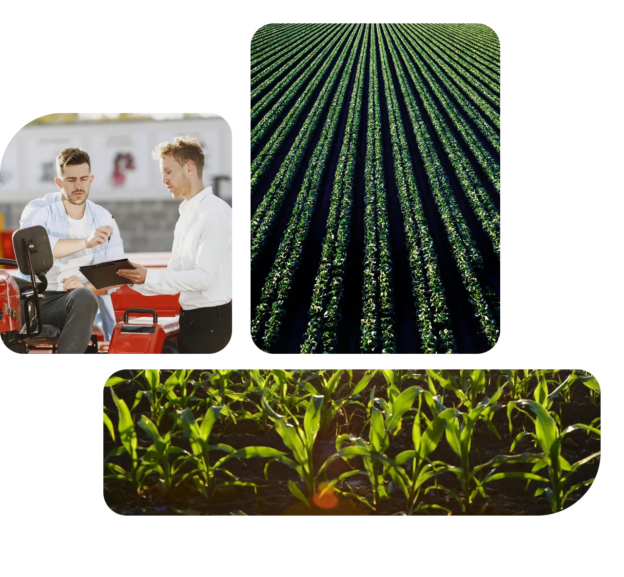 Agriculture Translation Services