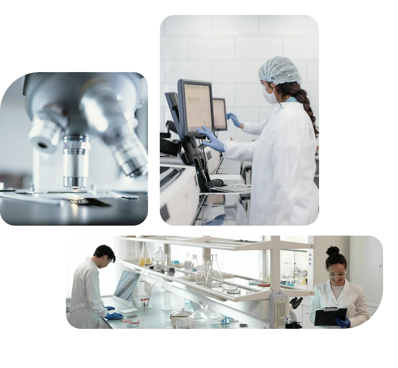Biotechnology Translation Services