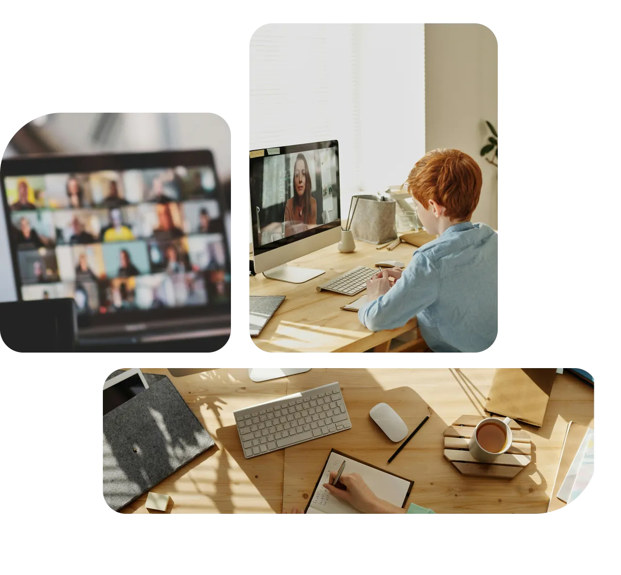 E-learning Translation Services