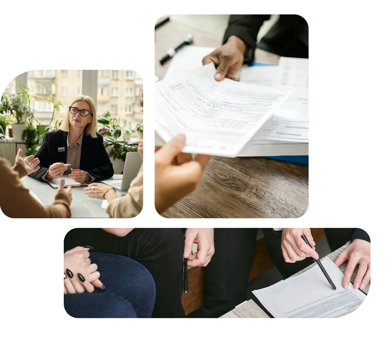 Insurance Translation Services