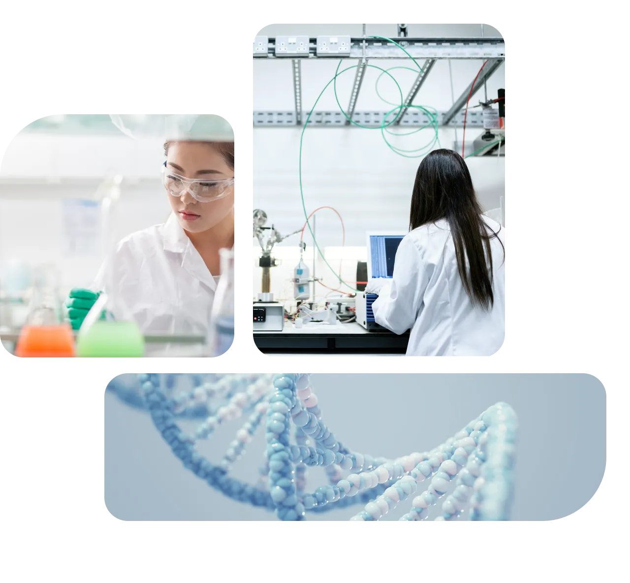 Scientific Research Translation Services