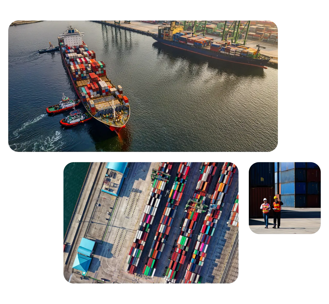 Import & Export Translation Services