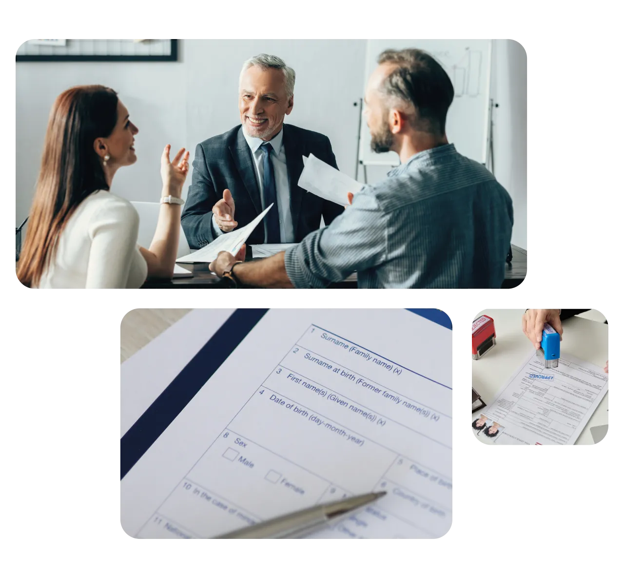 Investment Visa Application Translation Services