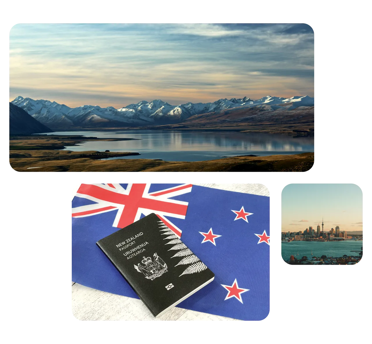 INZ Translation Services