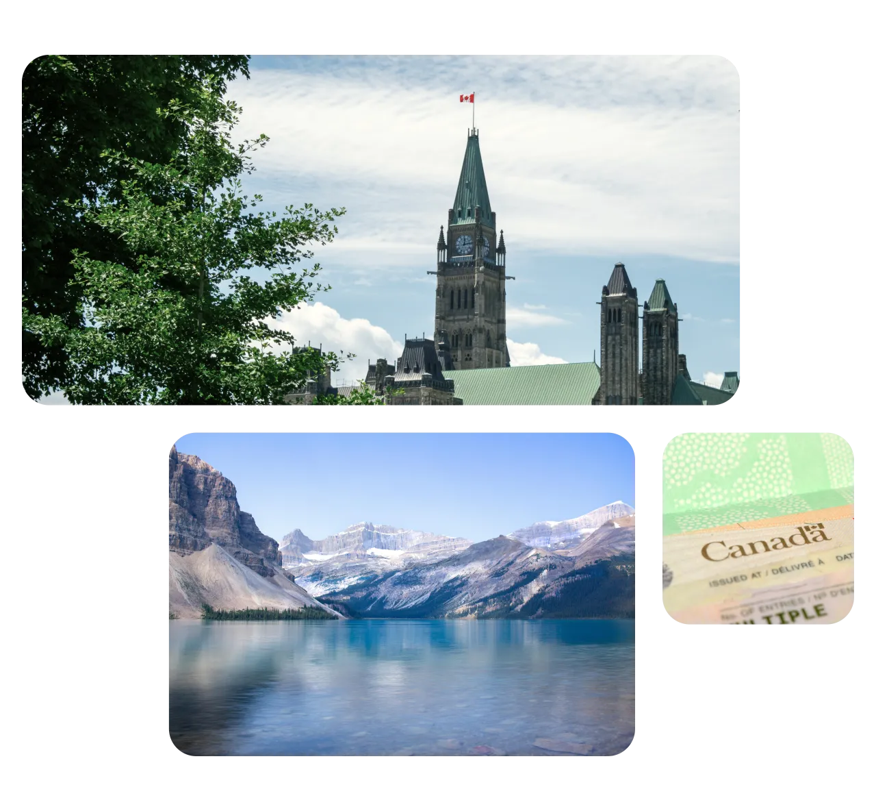 IRCC Translation Services